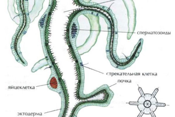 Пользователь не найден кракен