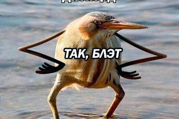 Заказать даркнет