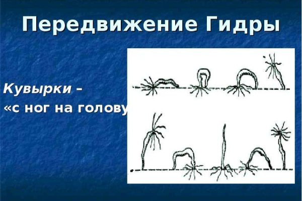 Кракен клир