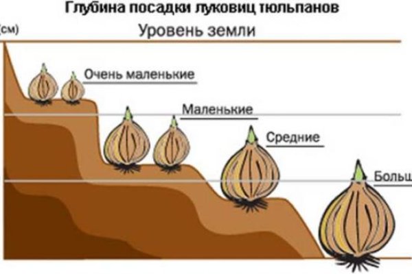 Кракен открылся