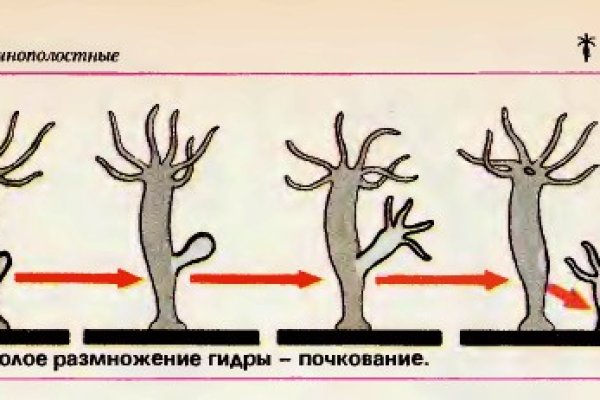 Запрещенный сайт кракен