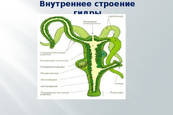 Кракен новый маркетплейс