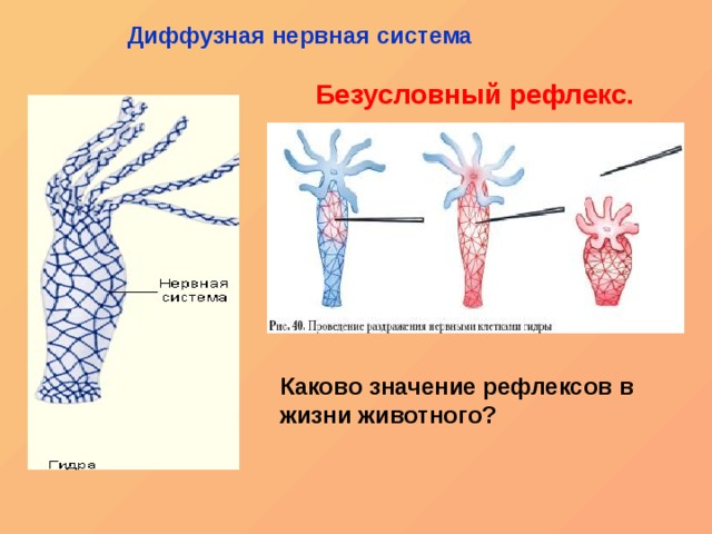 Kraken darknet зеркала