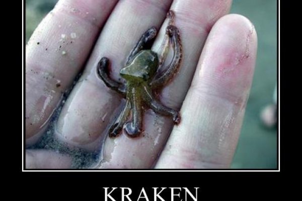 Кракен зайти зеркало