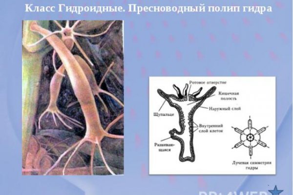 Kra43.cc Вход на сайт главная страница