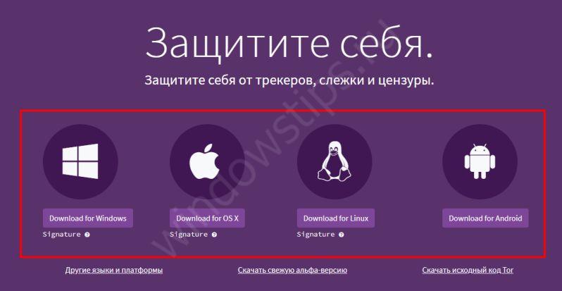 Через какой браузер можно зайти на кракен