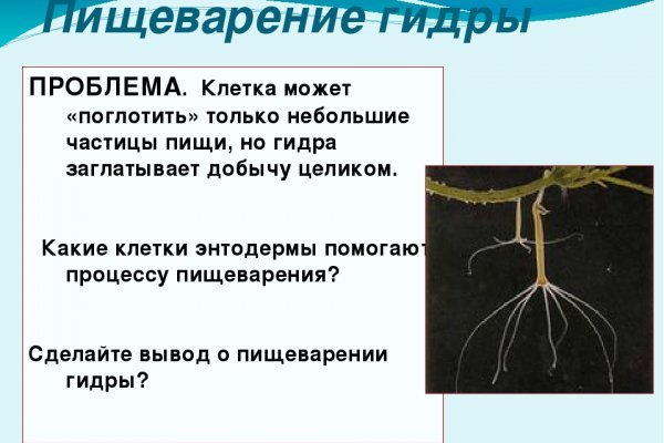 Kra40.at